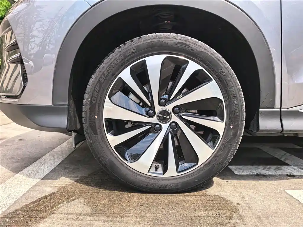 BYD SONGJIANG NEW ENERGY