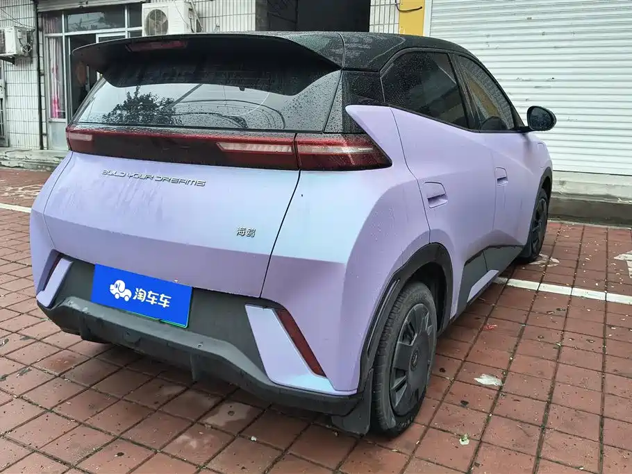 BYD Seagull 2024 Glory Edition 305km Vitality Edition фото 3