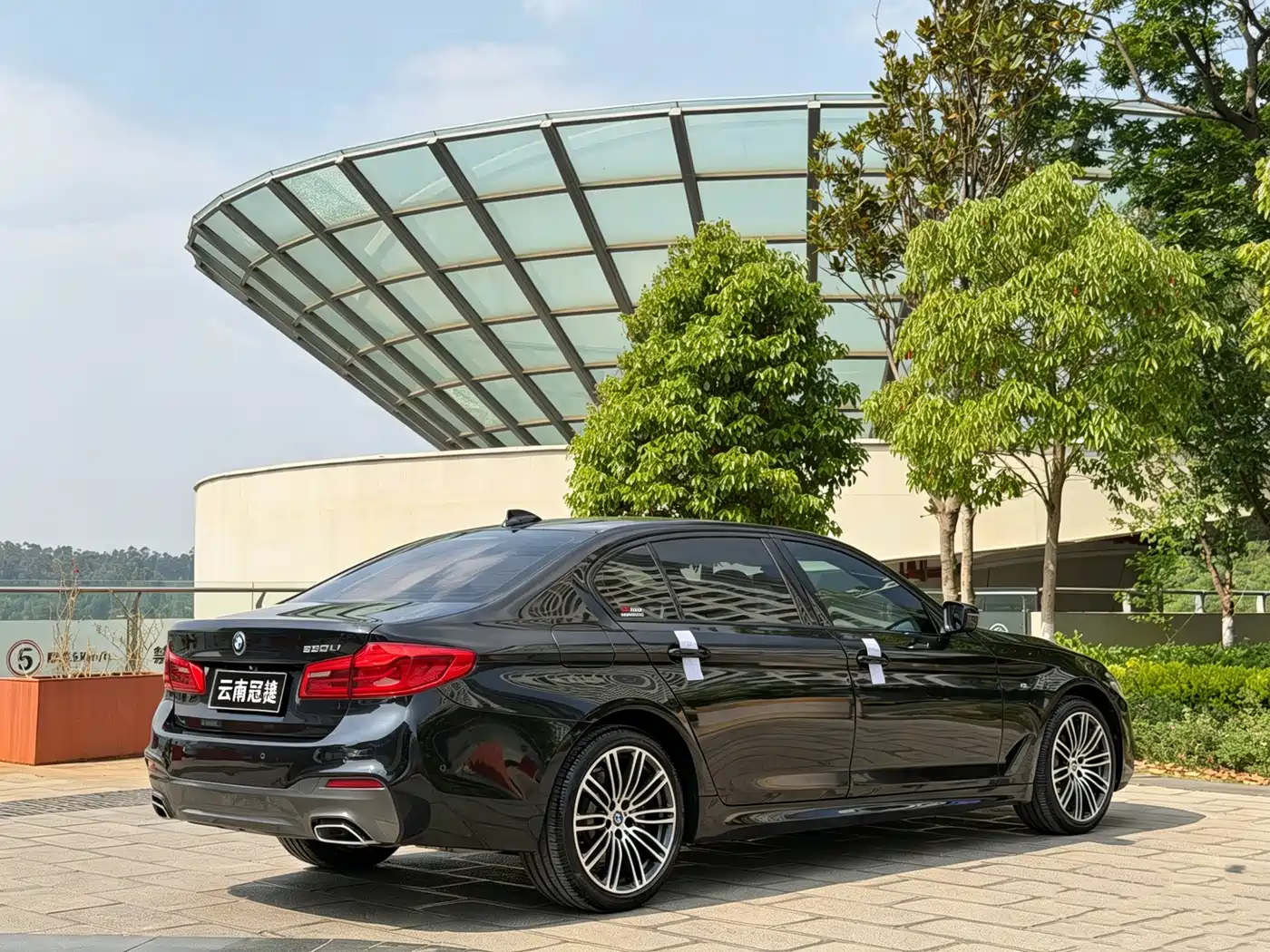 BMW 5 Series 2019 530Li Premium M Sport Package фото 7