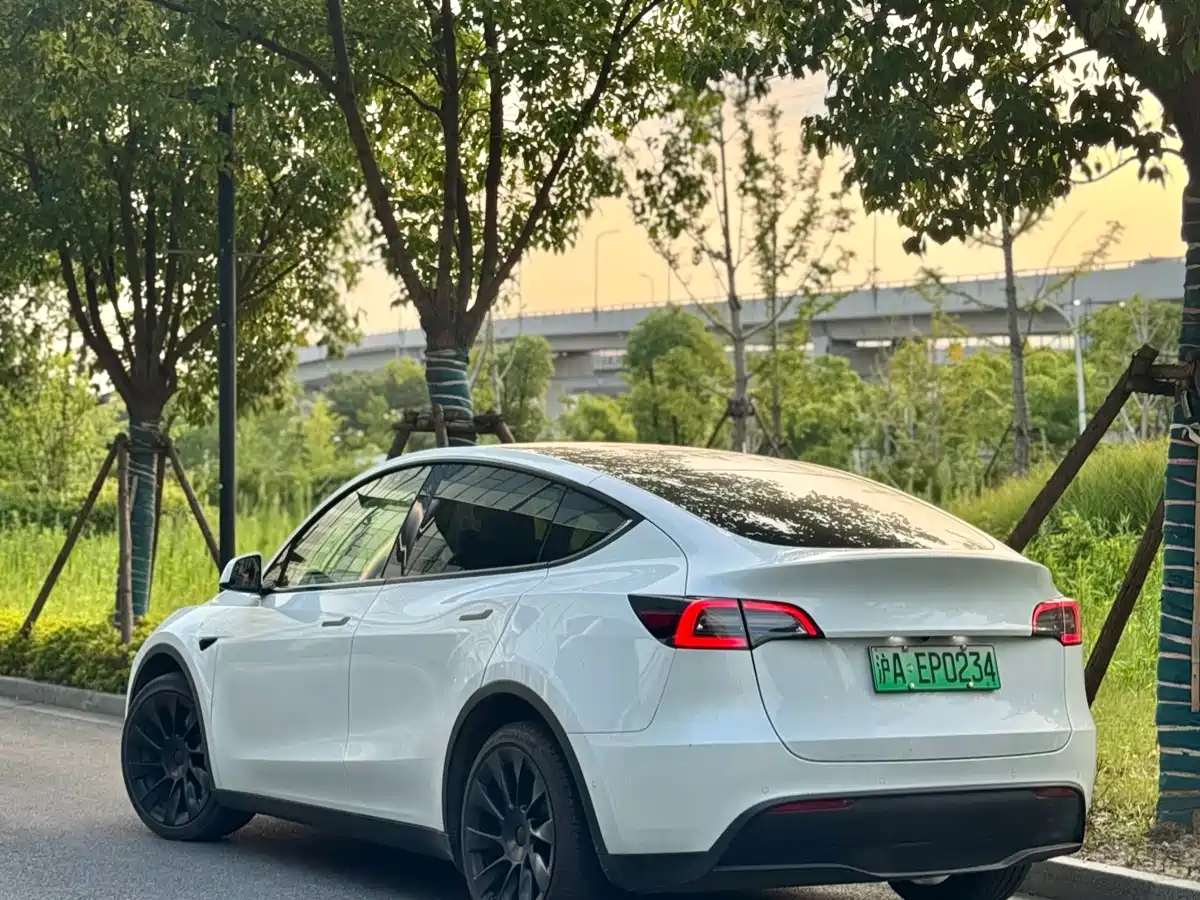 Фото 2 - Tesla Model Y