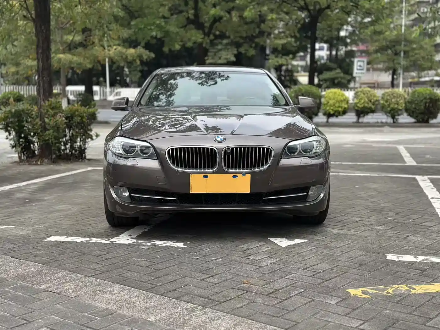 BMW 5 Series 2013 525Li Luxury фото 2