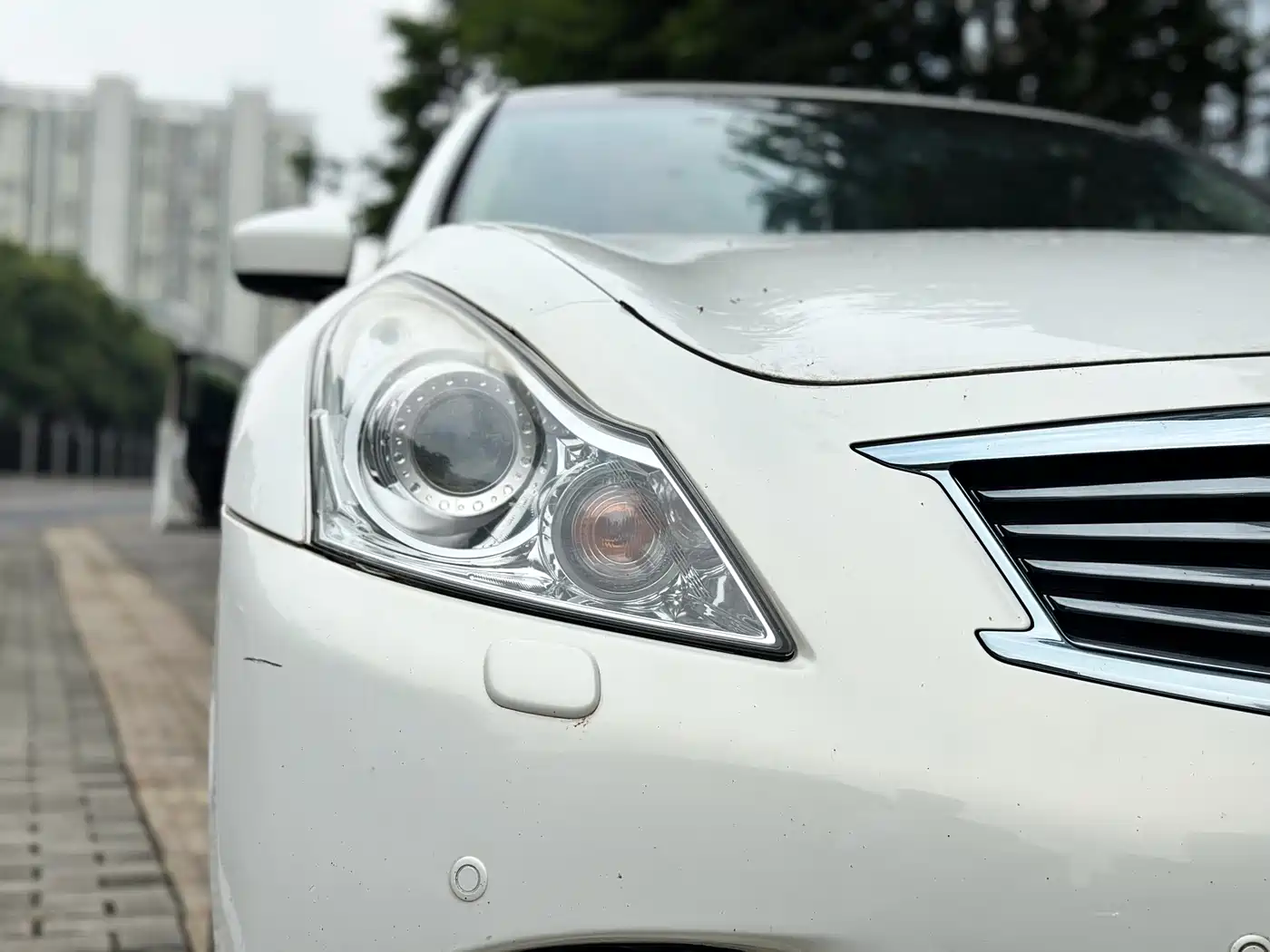 Infiniti G Series 2012 2013 G25 Sedan Luxury Sport Edition