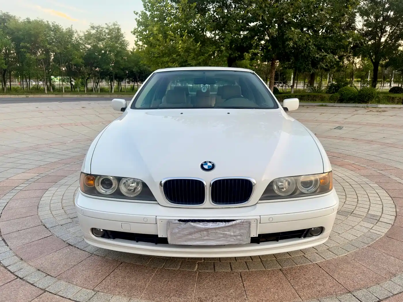 BMW 5 Series (Import) 2002