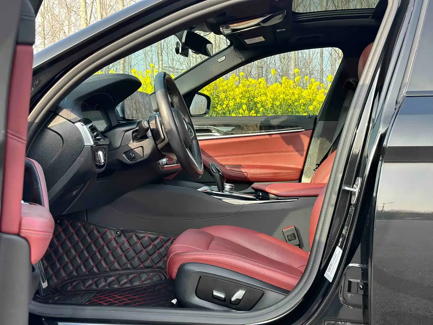 BMW 5 Series 2019 530Li Leading M Sport Package фото 3