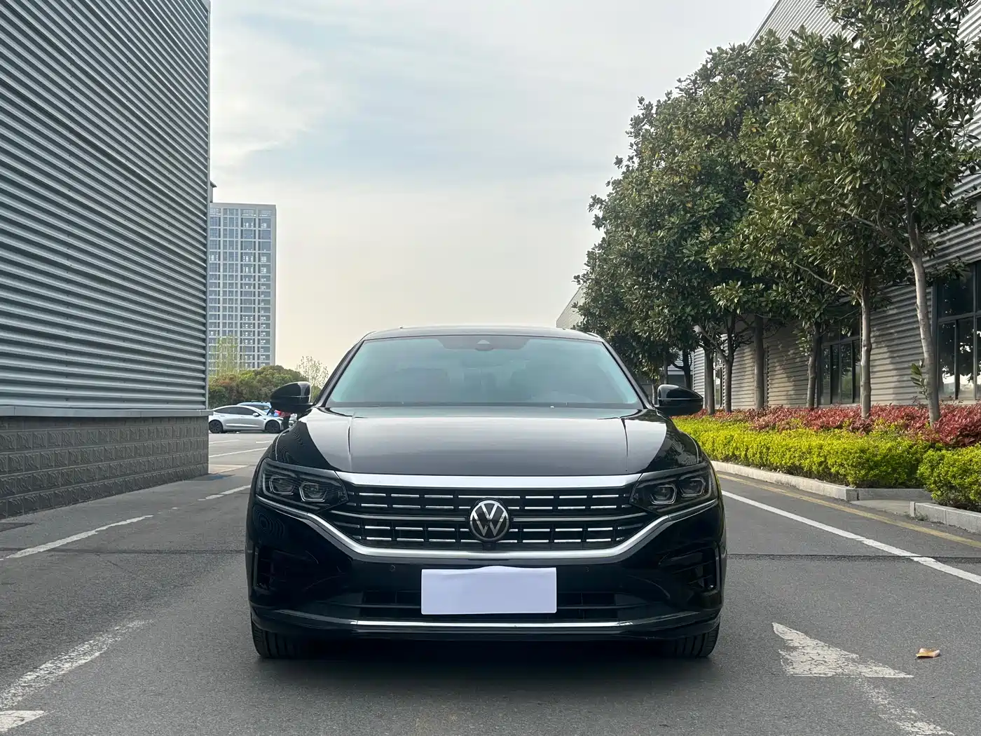 Volkswagen Passat 2024 380TSI Luxury фото 3