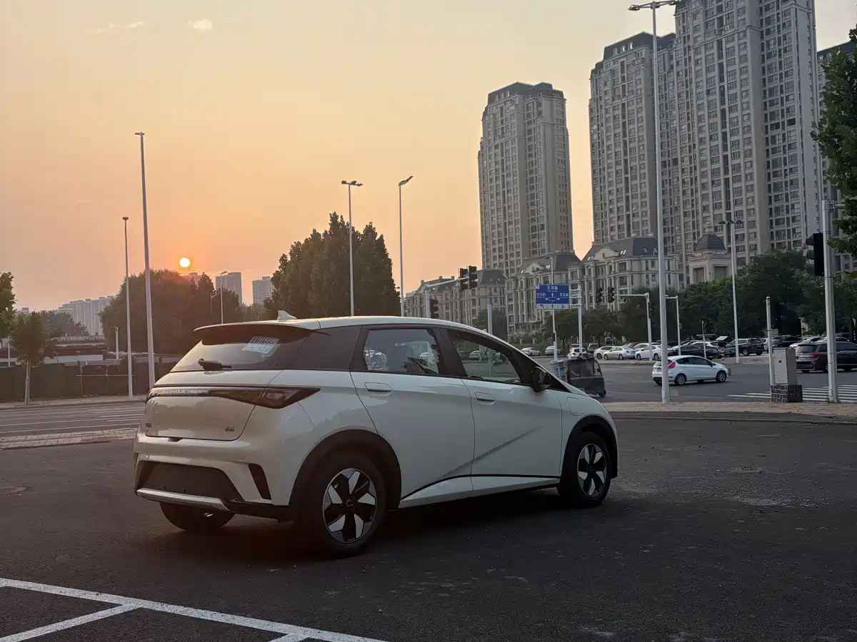 BYD Dolphin 2026 2025 420km Freedom Edition