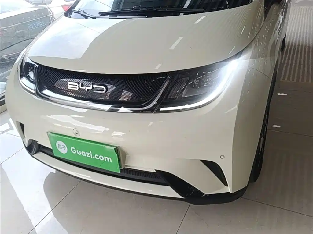 BYD Dolphin 2023 420km Fashion Edition фото 24
