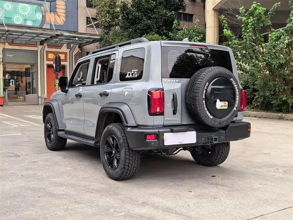 Tank 300 2023 Off-Road Edition 2.0T Conqueror фото 17