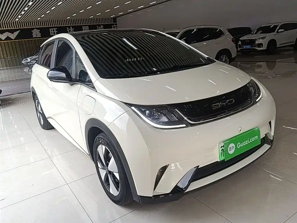BYD Dolphin 2023 420km Fashion Edition фото 4