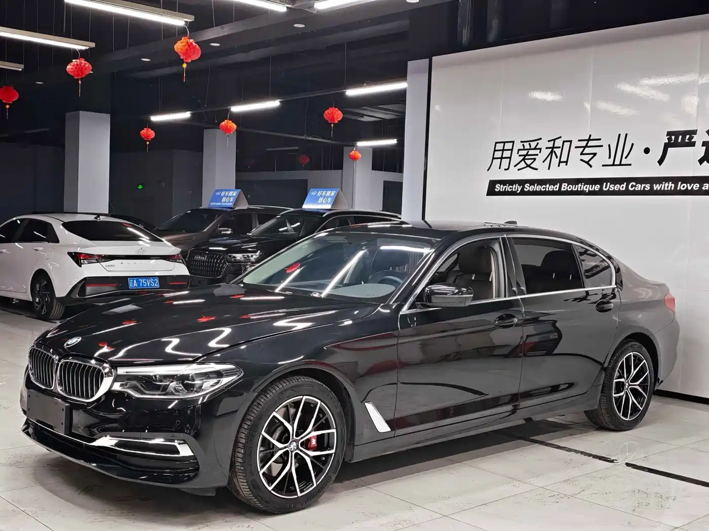 BMW 5 Series 2020 530Li xDrive Luxury Package
