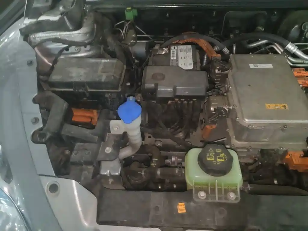 Ora Ballet Cat 2024 2023 401km Premium Model