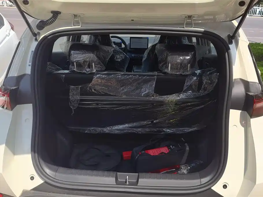 BYD Seagull 2025 Smart Drive Edition 305km Vitality Version фото 4