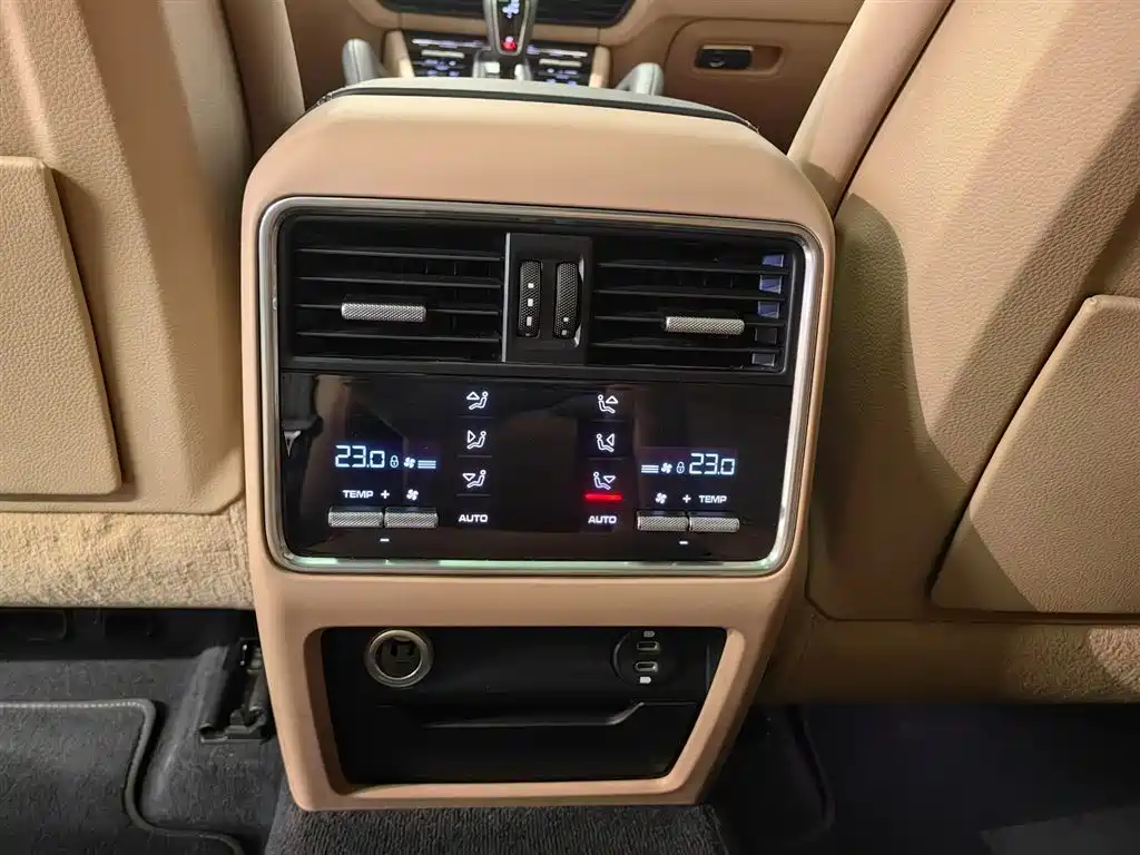 Porsche Cayenne 2022 Cayenne 3.0T Platinum Edition фото 15