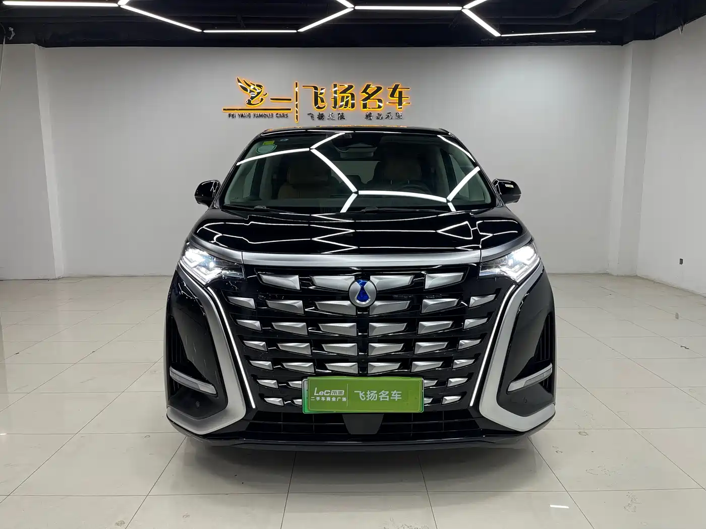Denza D9 2024 DM-i 980 AWD Prestige фото 2
