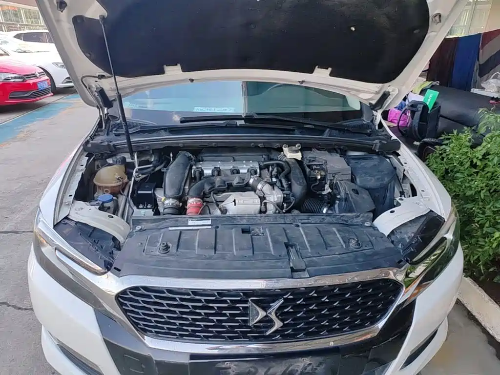 Фото 20 - DS 5LS