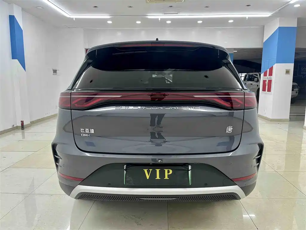 BYD Tang New Energy 2025 DM-i 115KM Prestige Type фото 5