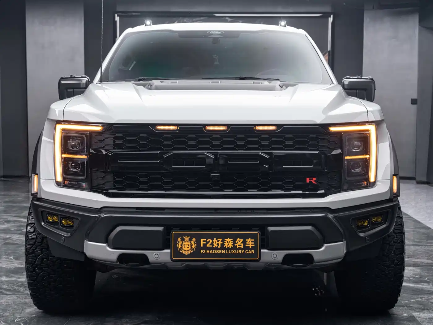 Ford F-150 Raptor 2024 2023 3.5T Raptor Snow Pride Special Edition