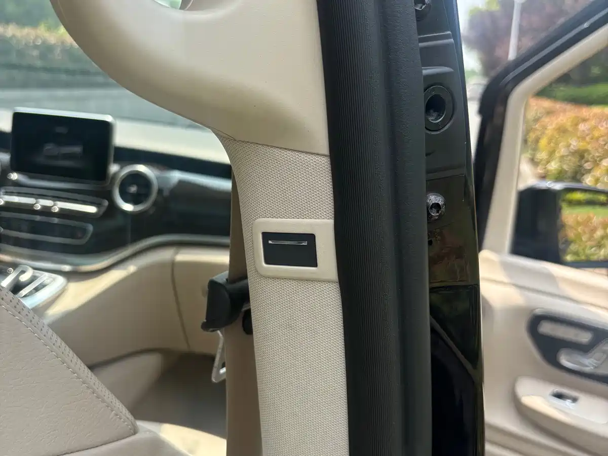Mercedes-Benz V-Class 2018 V 260 Pilot Edition China V фото 10