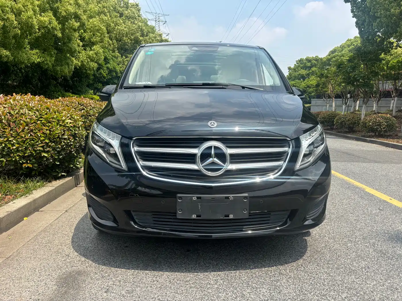 Mercedes-Benz V-Class 2018 V 260 Pilot Edition China V фото 2