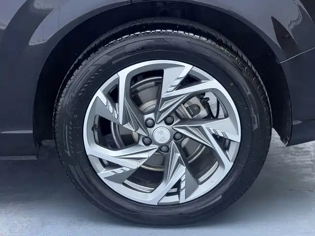 صورة 19 - Hongqi HS3 PHEV