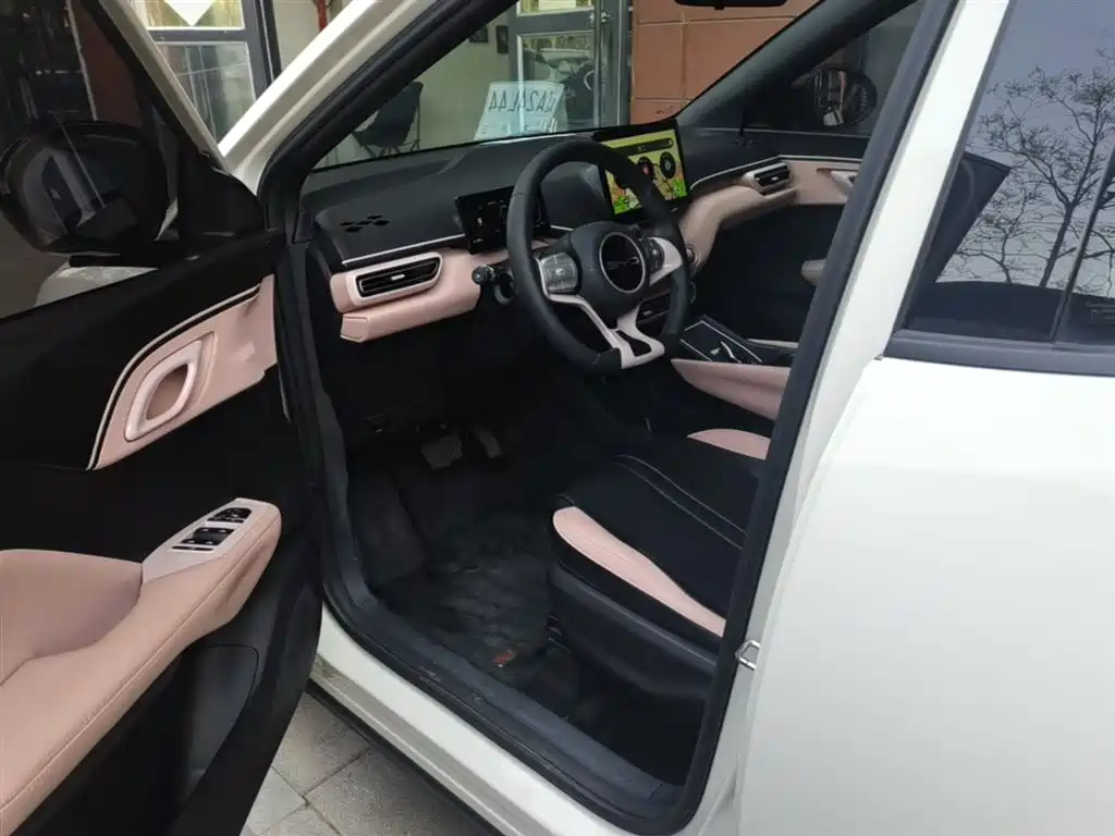 BYD Seagull 2023 Vitality Edition фото 15