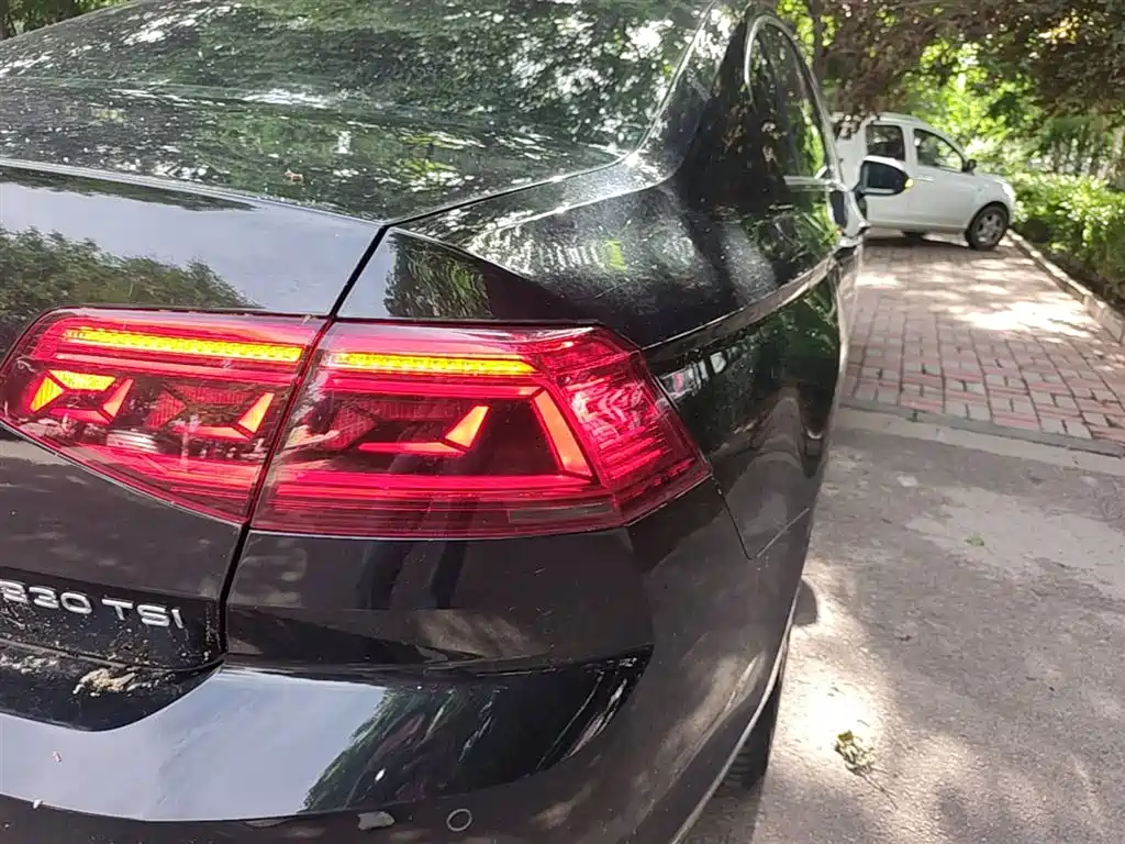 Volkswagen Magotan 2020 330TSI DSG Luxury фото 8