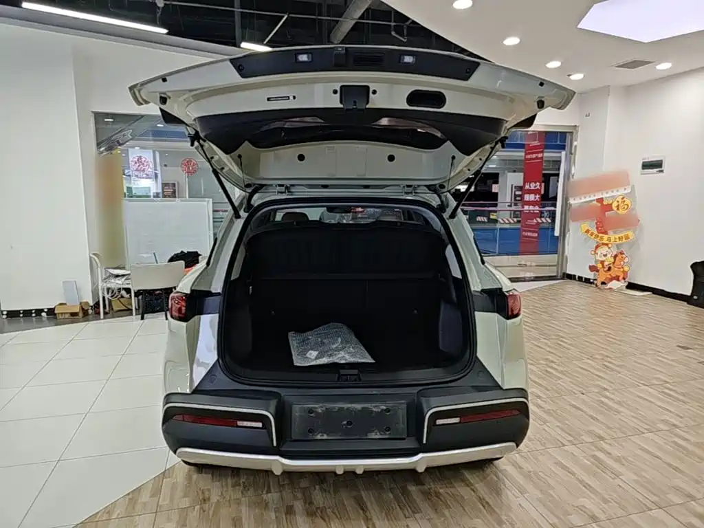 BYD Yuan UP 2024 2024 401KM Surpass Edition