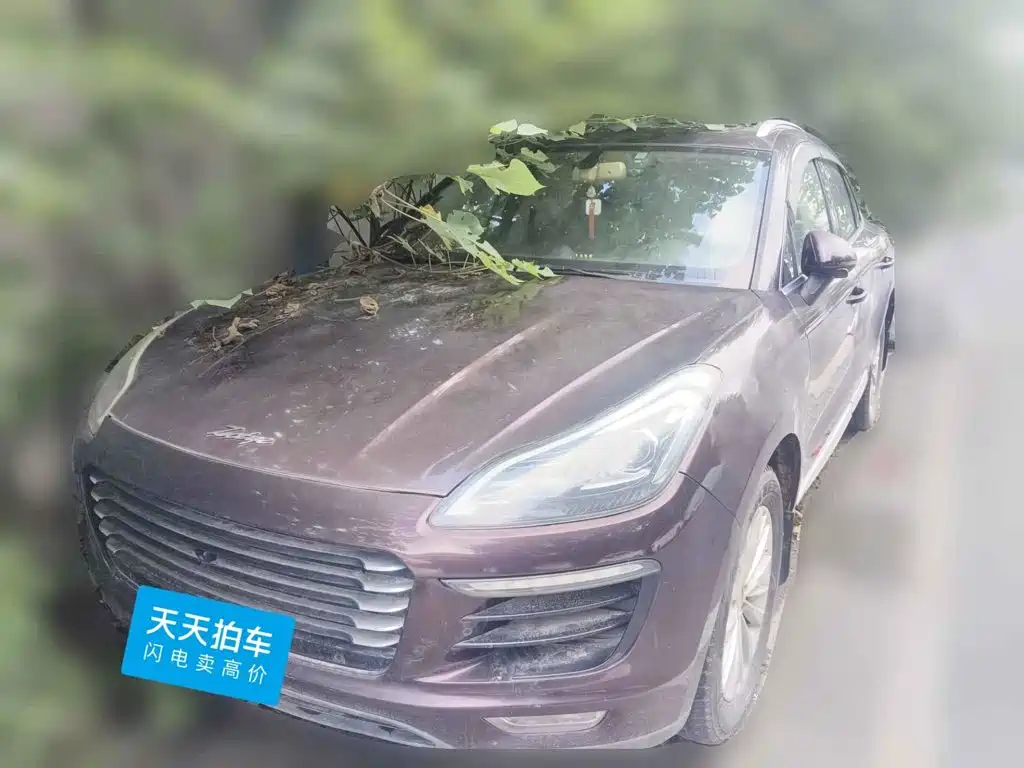 Zotye SR9 2017 2017 2.0T Auto Ultimate Heart Edition