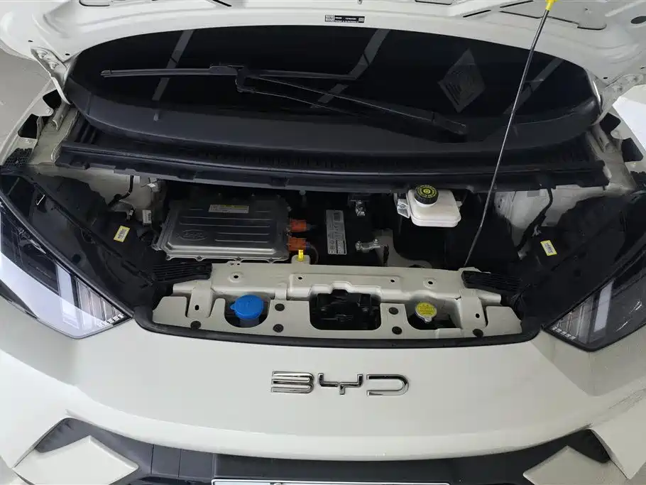 BYD Seagull 2023 Freedom Edition фото 10