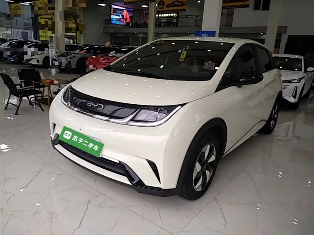 BYD Dolphin 2025 420km Freedom Edition