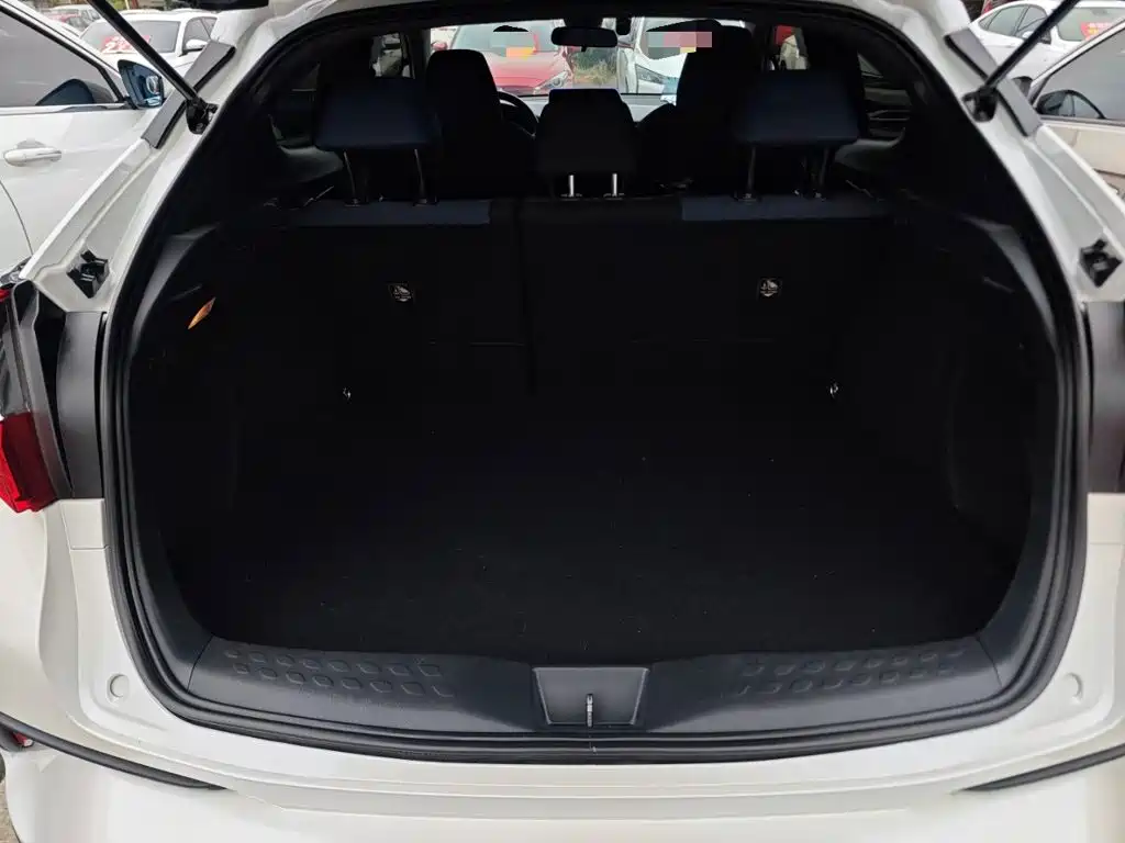 Toyota C-HR 2019 2020 Model 2.0L Leading