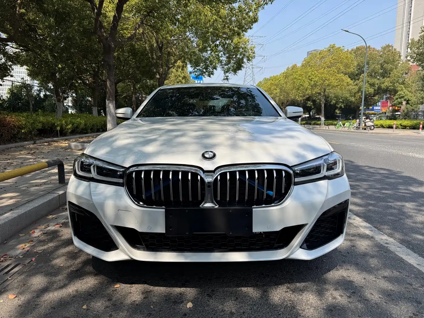 BMW 5 Series 2019 530Li Leading M Sport Package фото 2