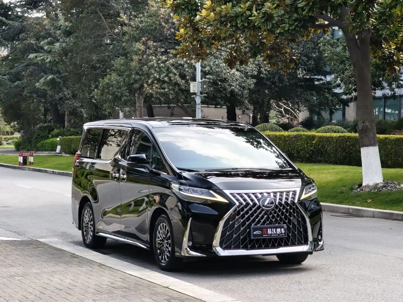 Lexus LM 2020 300h Seven-Seater Elegance Edition фото 3