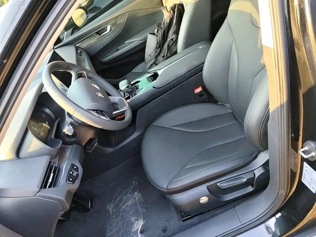 Hongqi E-QM5 2022 431km Charging Enjoyment Edition фото 15
