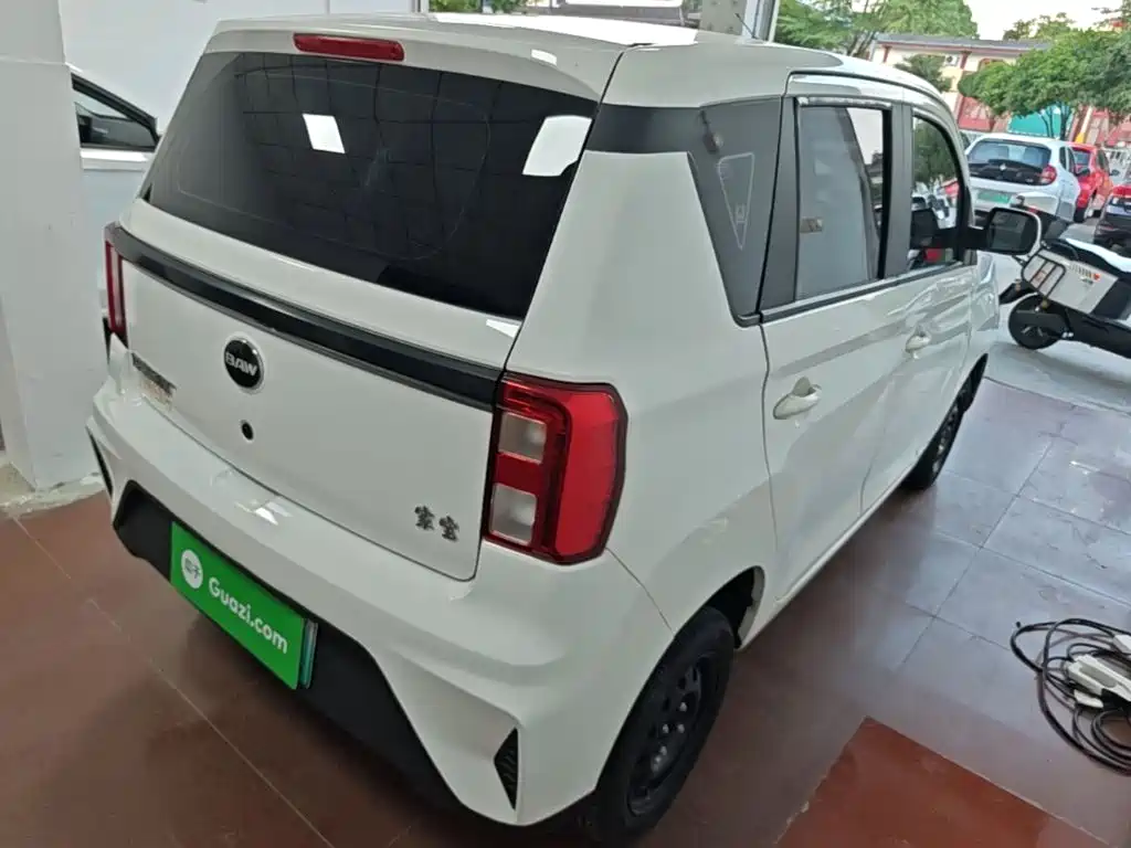 BAW (Beijing Automobile Works) Jiabao 2024 2023 Joy Enjoyment Edition