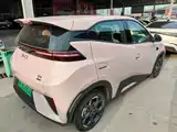 Фото 8 - BYD Seagull