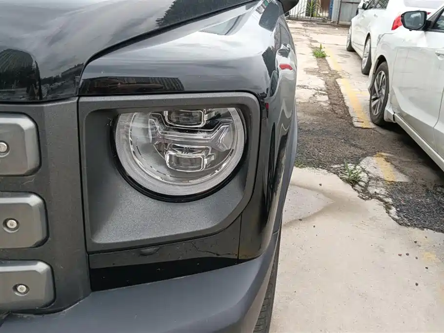 Haval Meng Long NEV 2024 Hi4 102 Pro фото 5