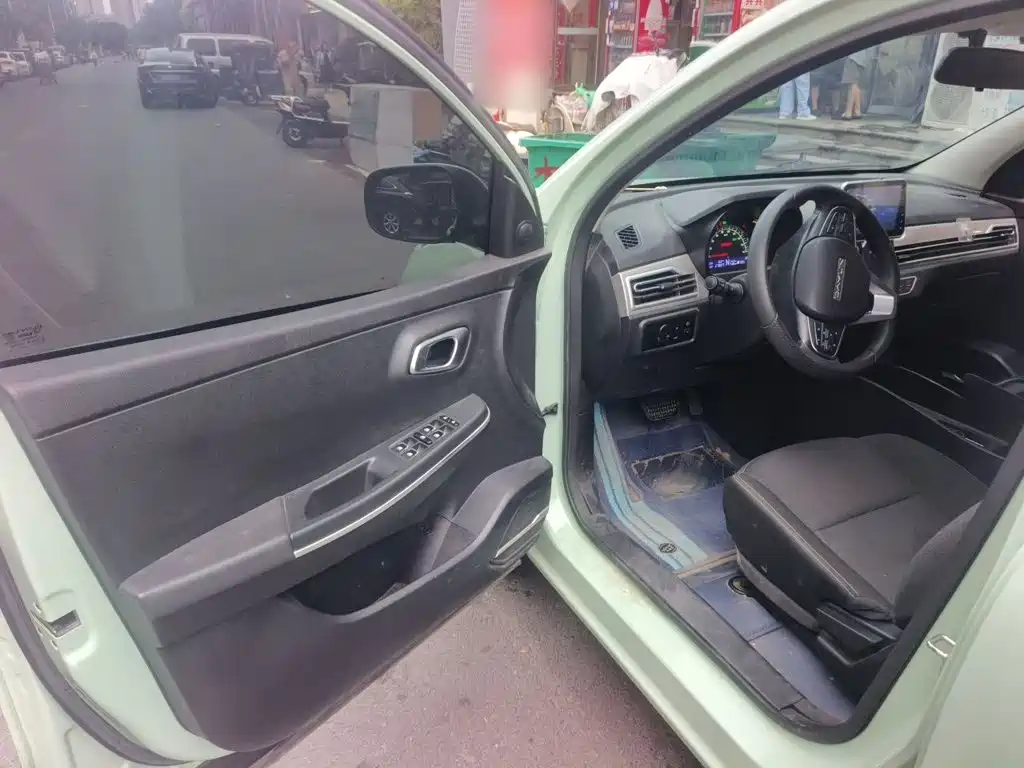 Dayun Yuehu 2024 2022 30.66kWh 2WD Standard Edition