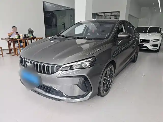 Geely Binrui 2024