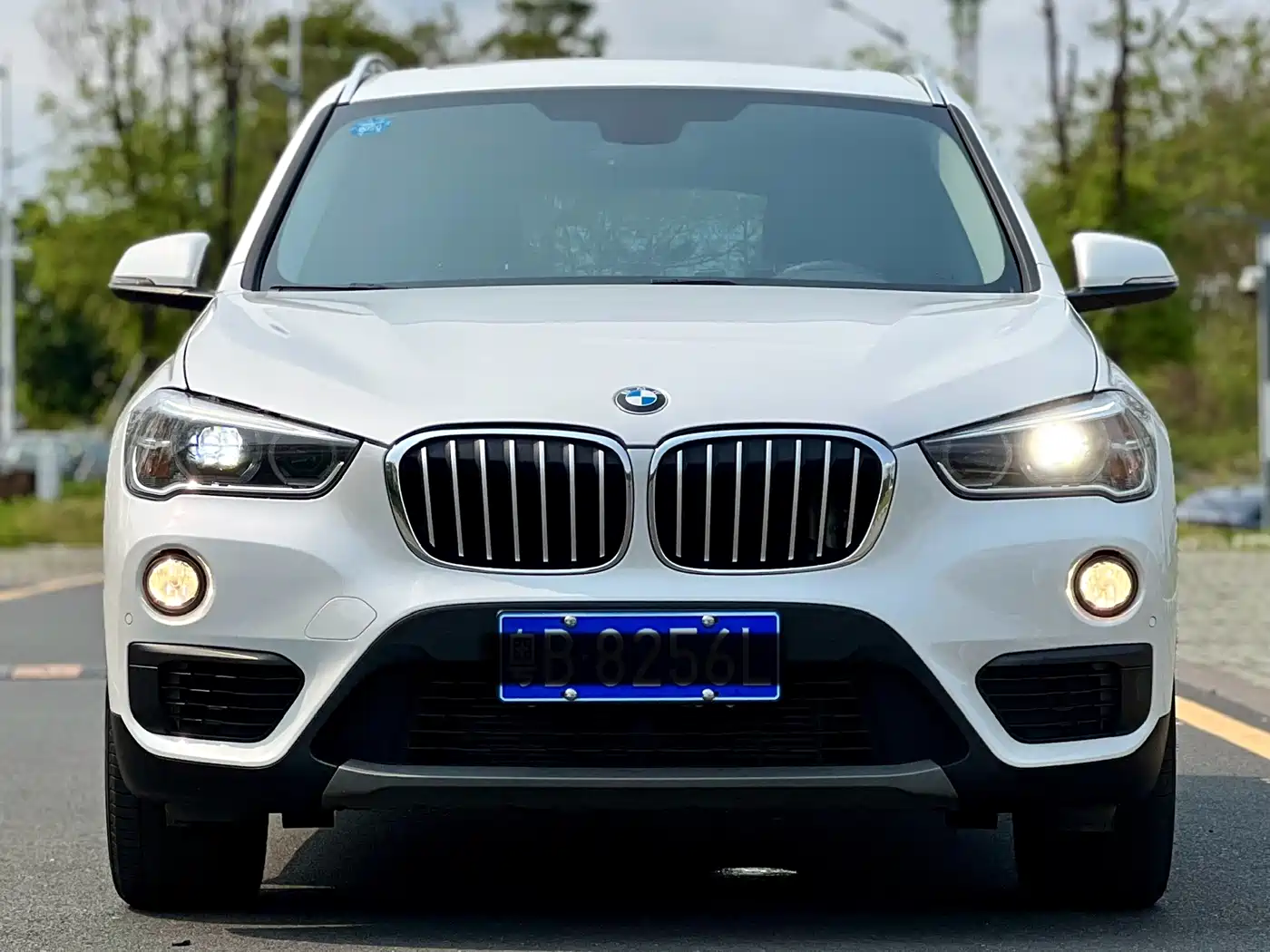 BMW X1 2019 sDrive20Li Leading Model фото 2