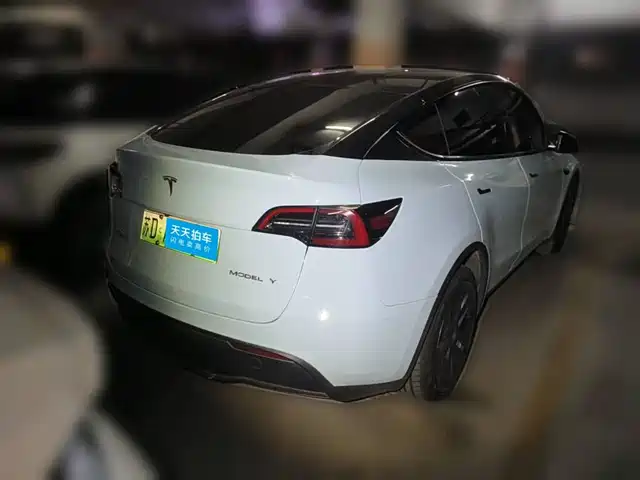 Tesla Model Y 2024 Long Range AWD — фото 5