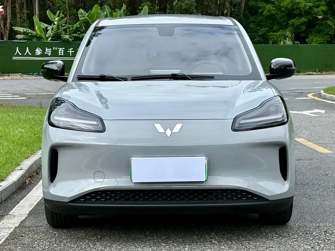 Wuling Motors Wuling Binguo PLUS 2026 2024 Model 330km 5-Seater