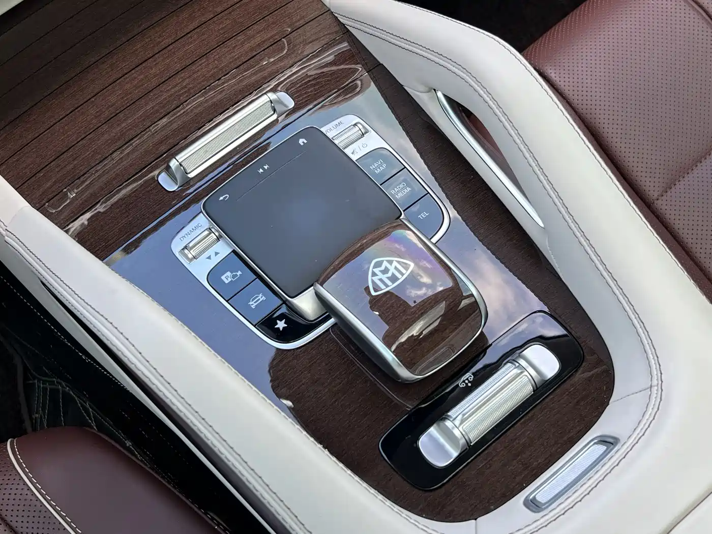 Mercedes-Benz Maybach GLS 2021 GLS 600 4MATIC Ritual Edition фото 14