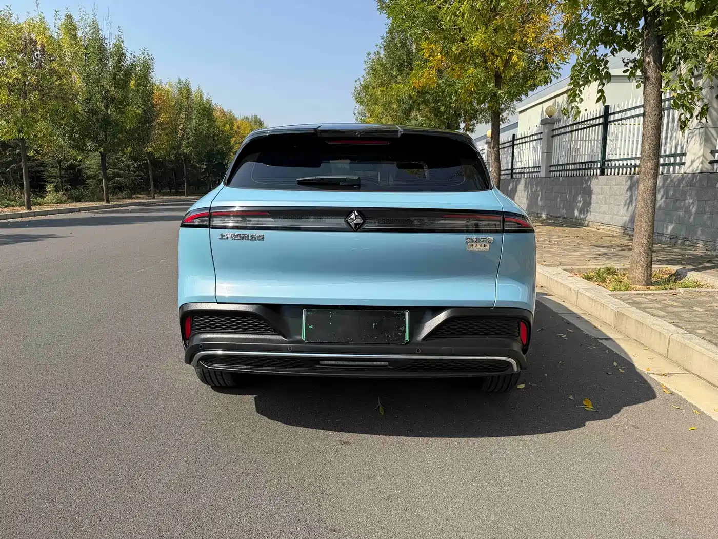 Baojun Yunhai 2024 2024 600km Pure Electric Version