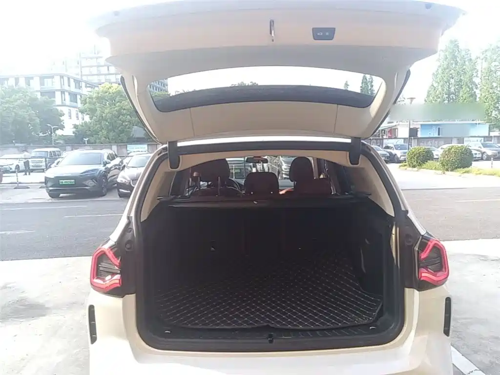 BMW X3 2023 xDrive30i Leading M Night Package фото 19