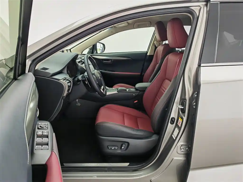 Lexus NX 2018 Model 300 FWD Fengxing Edition фото 10