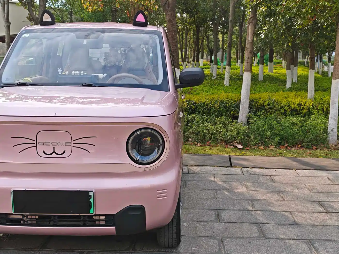 GEELY GALAXY PANDA