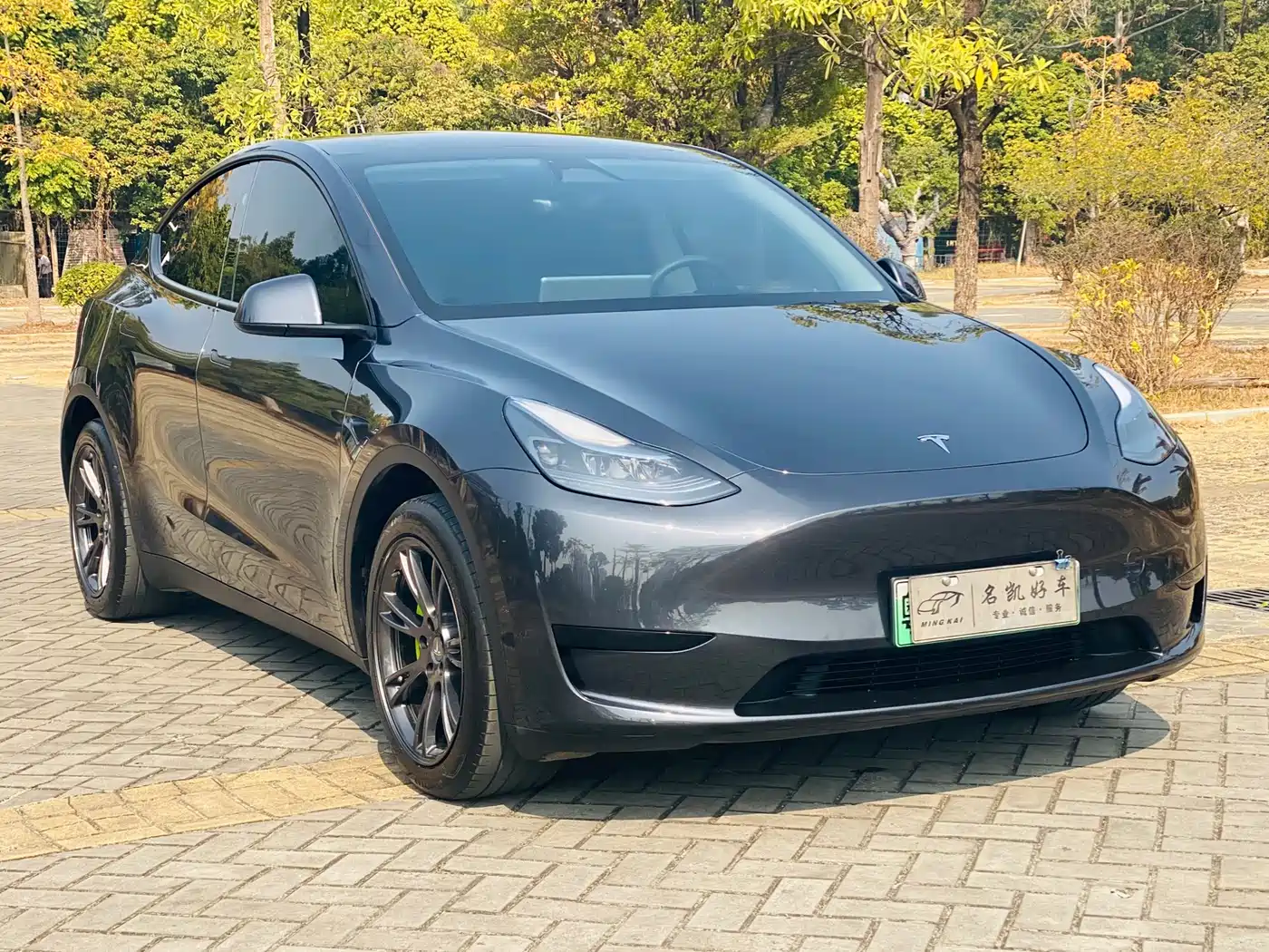 TESLA MODEL Y