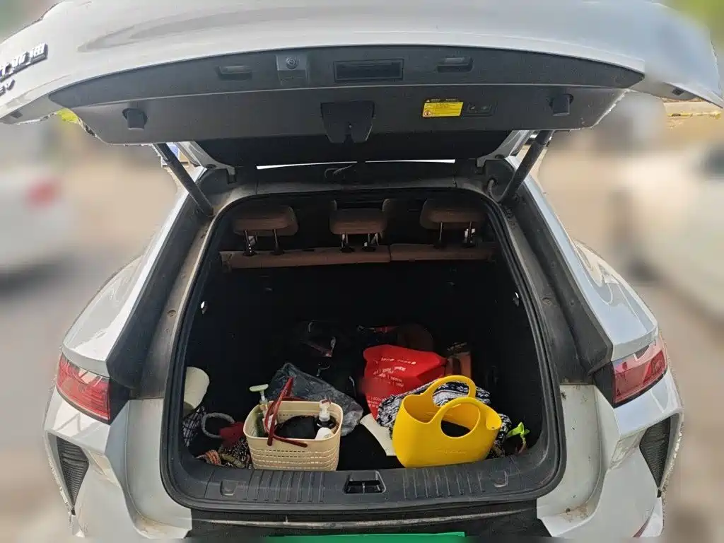 BYD Song L EV 2025 2025 Smart Drive Edition 662km Surpassing Type