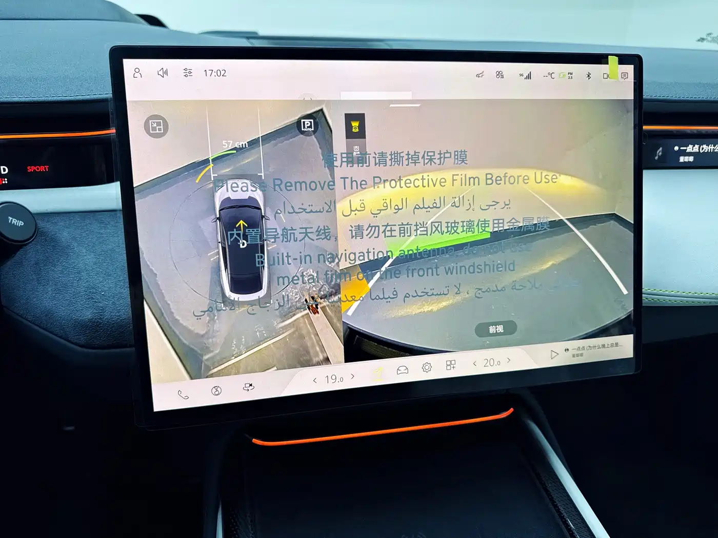 LOTUS SPORTS CAR EMEYA FLOWERS